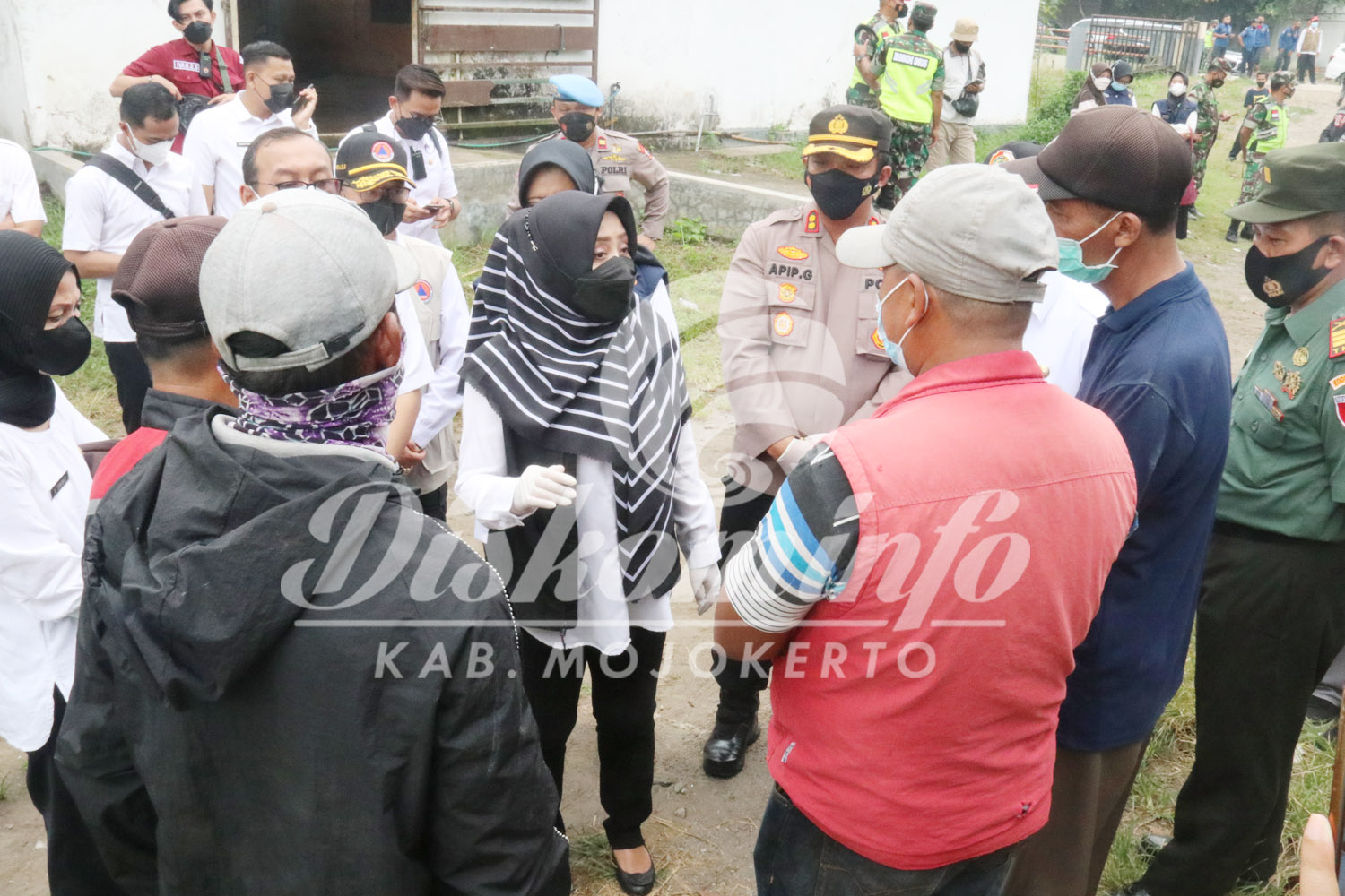 Aplikasi Tumbas, Solusi Ditengah Wabah PMK