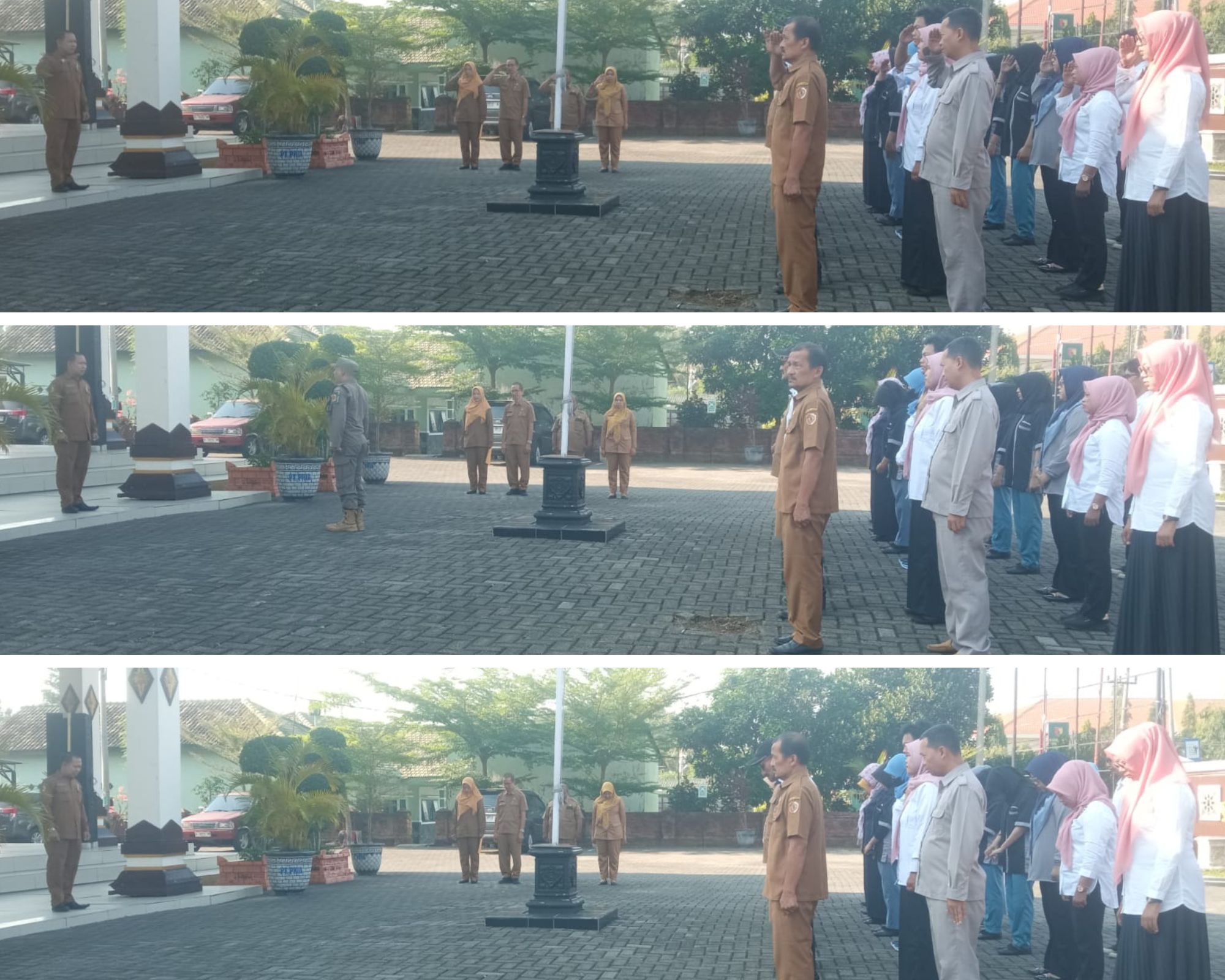 blog-image
