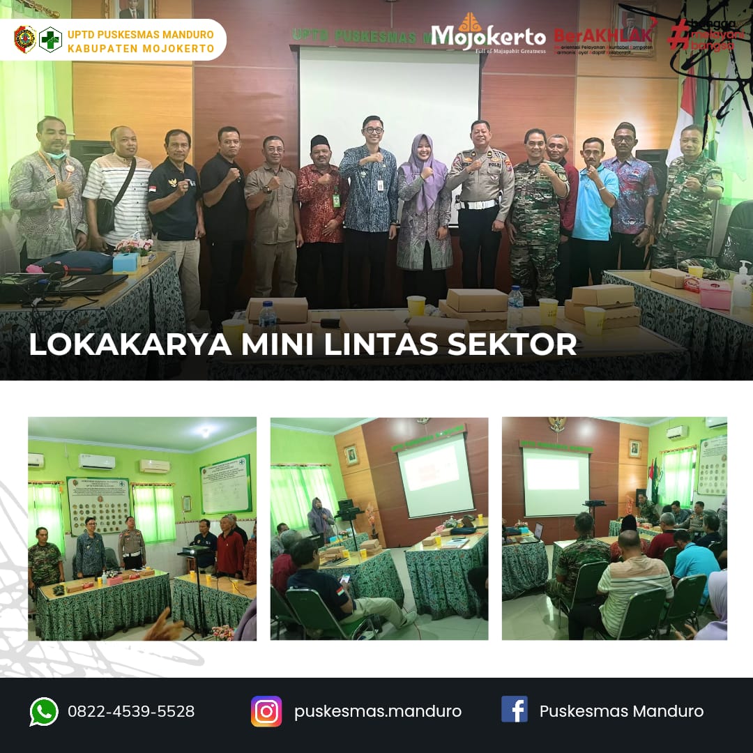 LOKAKARYA MINI LINTAS SEKTOR