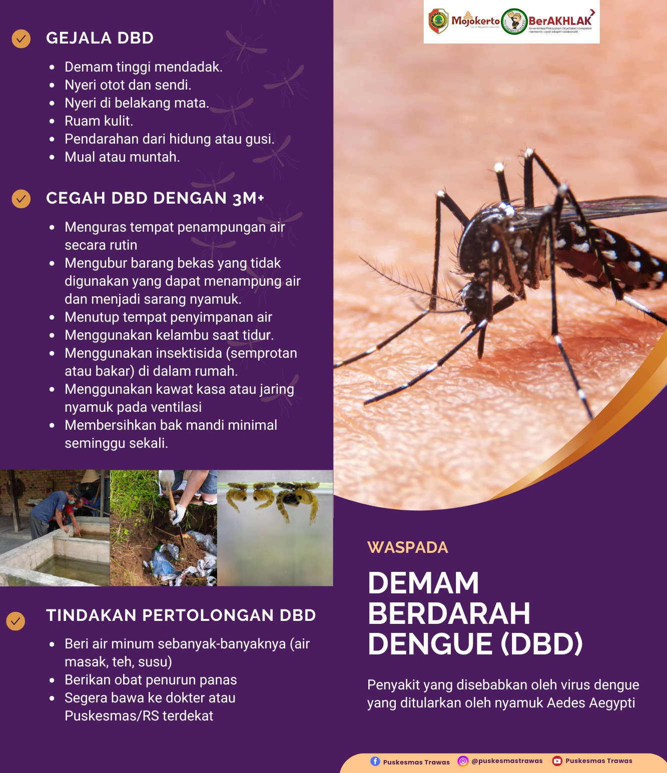 WASPADA DEMAM BERDARAH DENGUE